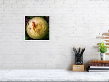 Load image into Gallery viewer, 5291607-1211353