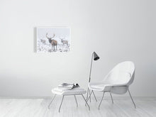 Load image into Gallery viewer, 5202398-1194996