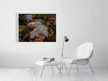 Load image into Gallery viewer, 5202045-1194989