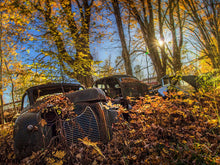 Load image into Gallery viewer, Autumobiles 1