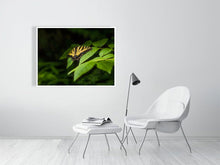 Load image into Gallery viewer, 5359162-1229646