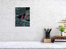 Load image into Gallery viewer, 5796693-1313535