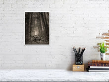 Load image into Gallery viewer, 5202301-1194650