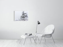 Load image into Gallery viewer, 5202428-1195000