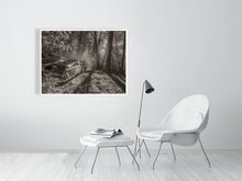 Load image into Gallery viewer, 5203810-1195009