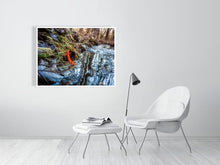 Load image into Gallery viewer, 5357379-1229555