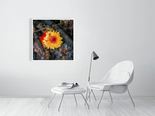 Load image into Gallery viewer, 5357578-1229568