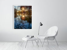 Load image into Gallery viewer, 5352321-1229336