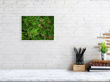 Load image into Gallery viewer, 5201683-1194935