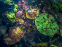 Load image into Gallery viewer, Secret World