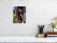 Load image into Gallery viewer, 5359078-1229652