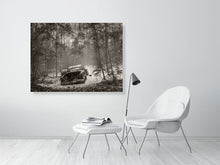 Load image into Gallery viewer, 5203826-1195014