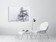 Load image into Gallery viewer, 5202428-1195001