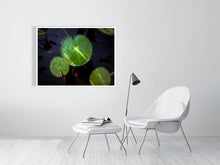 Load image into Gallery viewer, 5294014-1211257