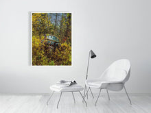 Load image into Gallery viewer, 5586580-1264791