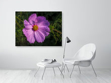 Load image into Gallery viewer, 5359123-1229643