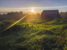 Load image into Gallery viewer, End Of The Day