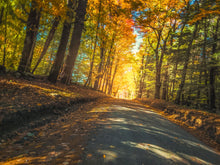 Load image into Gallery viewer, Forever Autumn
