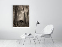 Load image into Gallery viewer, 5202278-1194648