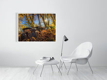 Load image into Gallery viewer, 5201724-1194953