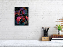 Load image into Gallery viewer, 5796656-1313523