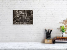 Load image into Gallery viewer, 5327541-1221140