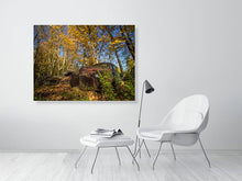 Load image into Gallery viewer, 5201242-1194914