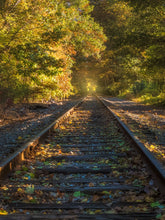 Load image into Gallery viewer, Portal