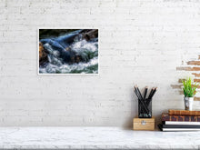 Load image into Gallery viewer, 5294011-1211889