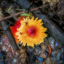 Load image into Gallery viewer, Here Comes The Sun 2