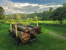 Load image into Gallery viewer, Backbreaker