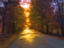 Load image into Gallery viewer, The Radient Road