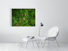 Load image into Gallery viewer, 5201681-1194933