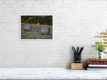 Load image into Gallery viewer, 5291699-1211972