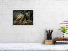 Load image into Gallery viewer, 5294008-1211893