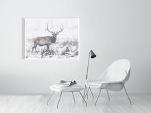 Load image into Gallery viewer, 5202467-1195005