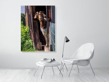 Load image into Gallery viewer, 5359078-1229655