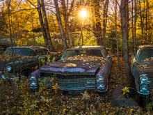 Load image into Gallery viewer, Caddy Laxing