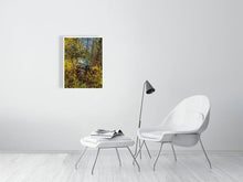 Load image into Gallery viewer, 5586580-1264790