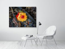 Load image into Gallery viewer, 5357528-1229564