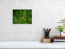 Load image into Gallery viewer, 5201681-1194931