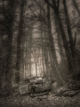 Load image into Gallery viewer, The Way Through the Woods