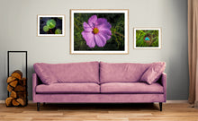 Load image into Gallery viewer, The Cosmos