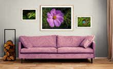 Load image into Gallery viewer, Swallowtail