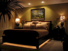 Load image into Gallery viewer, Autumobiles 2