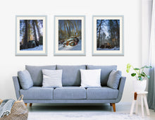 Load image into Gallery viewer, Failed Getaway