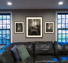 Load image into Gallery viewer, Painted With Light 2