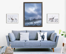 Load image into Gallery viewer, Lifting The Veil