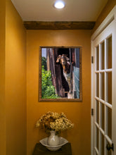 Load image into Gallery viewer, The Nanny