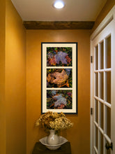 Load image into Gallery viewer, Golden Drops